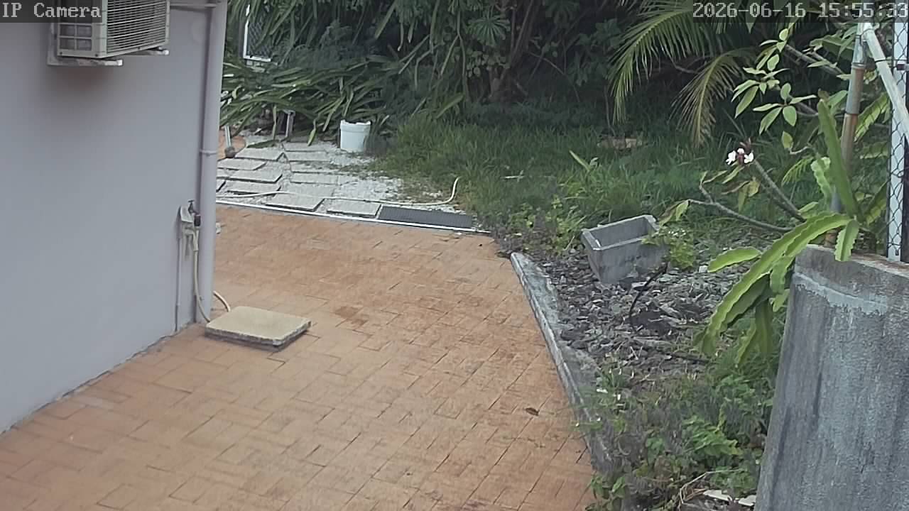 A26061615553310.jpg