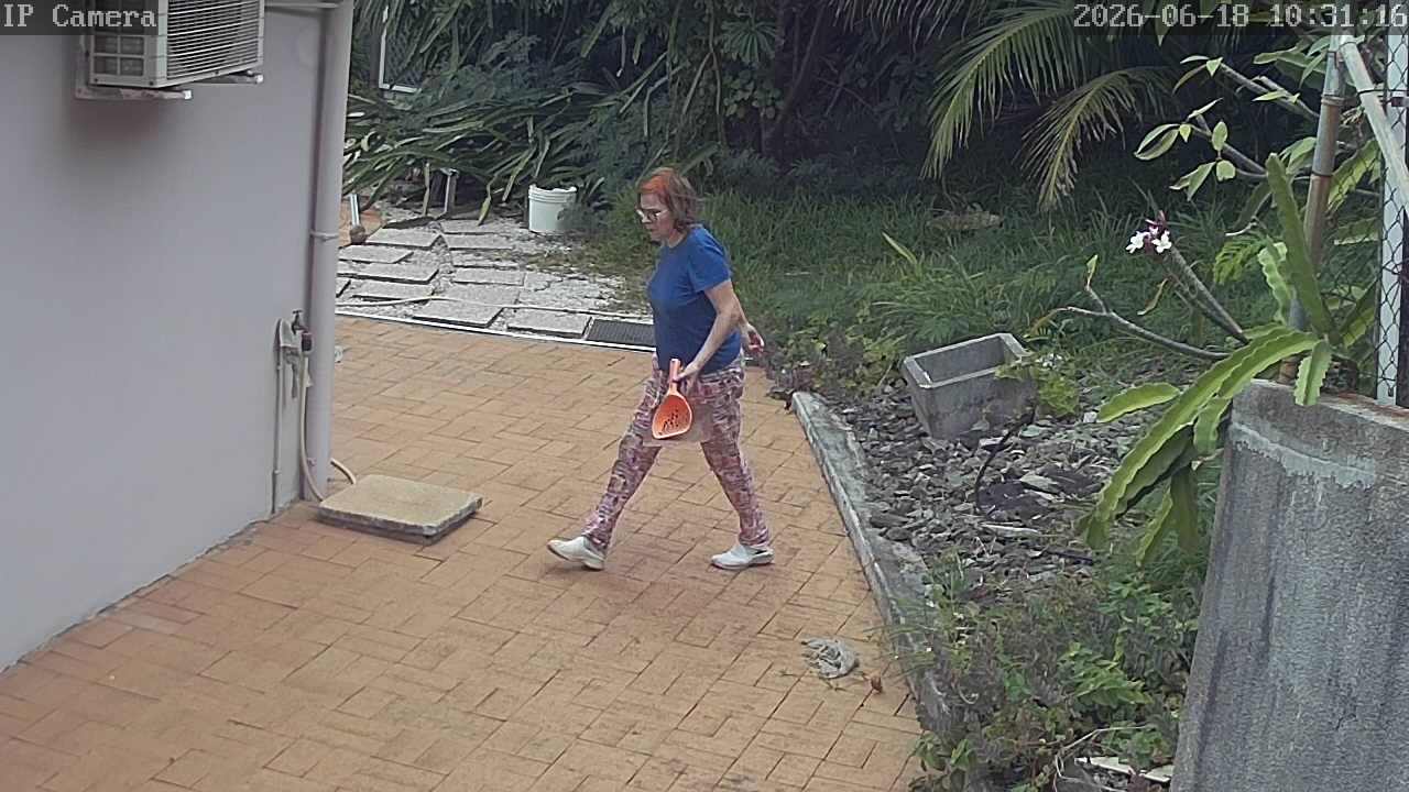 A26061810311610.jpg