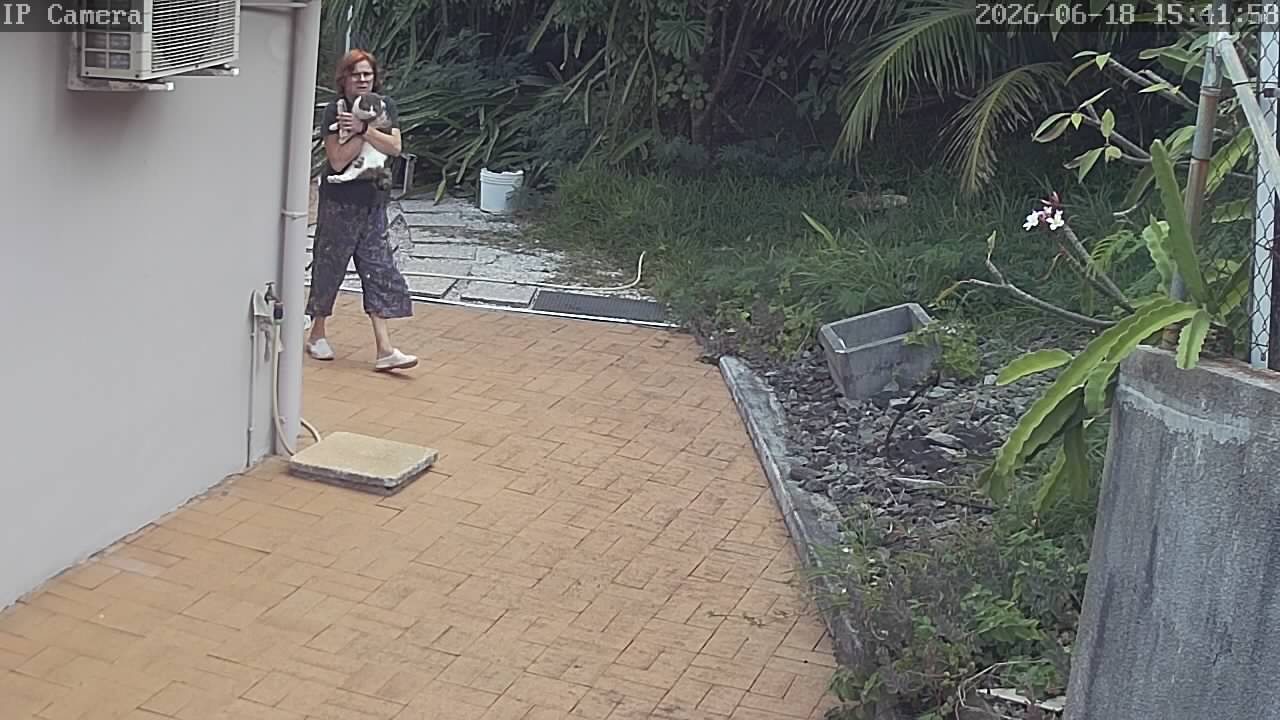 A26061815415810.jpg