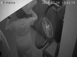 Alarme_2026-07-28_13-42-15.jpg